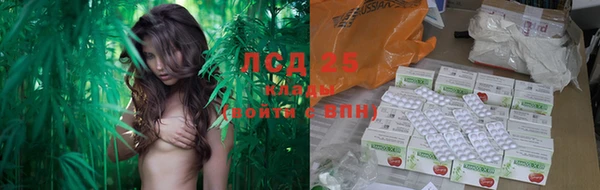 гашик Абаза